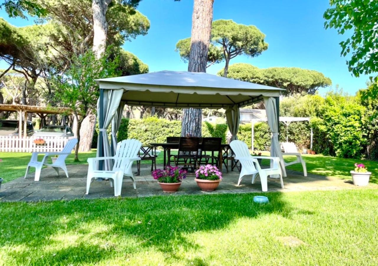 La Meria Di Maria La Terrazza Marina di Grosseto Buitenkant foto